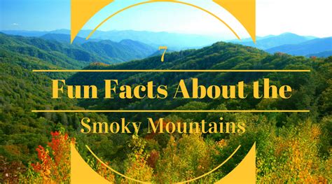 7 Fun Facts About The Smoky Mountains That Might Surprise You