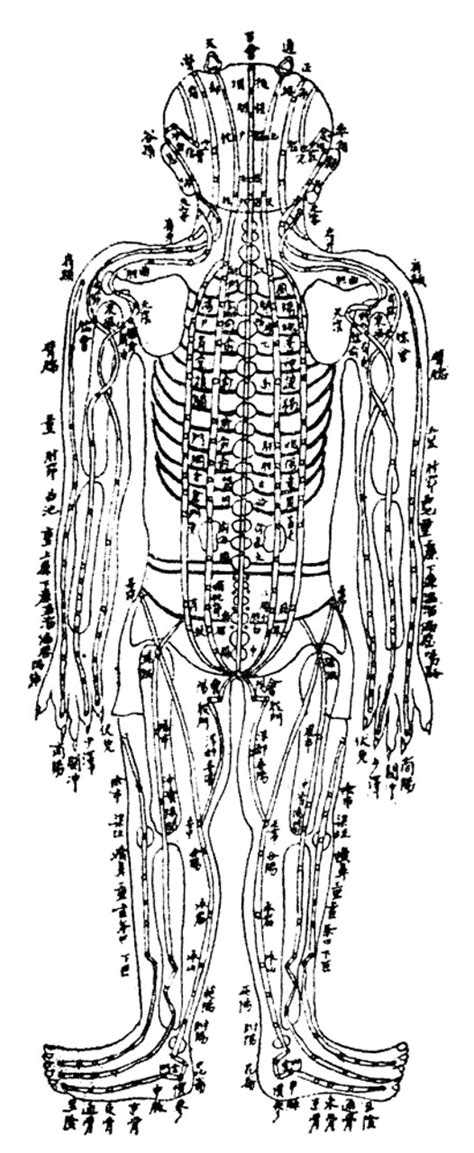 Acupuncture Chart Nchinese Acupuncture Chart Showing The Kidney