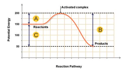 This assumes that the reaction proceeds back and forth via the same steps. What is the activation energy for a reverse reaction? - Quora