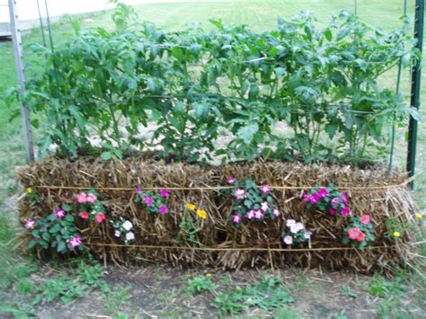 Straw Bale Gardening How To Create An Amazing Garden Using The Magic