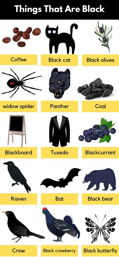 List Of Things That Are Black In Color Pdf Grammarvocab