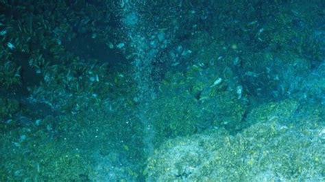 Widespread Methane Leakage From Ocean Floor Off Us Coast Bbc News