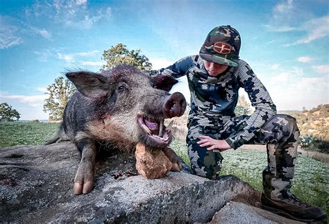 New California Bill Takes Aim At Wild Pig Hunting Again