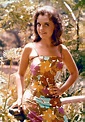 49 best images about Dawn Wells stunning pics on Pinterest | Shorts ...