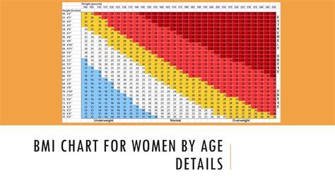 Bmi Chart For Women By Age Details Youtube