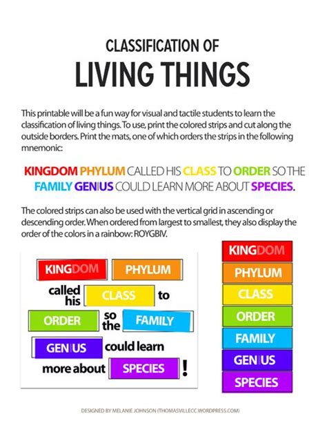 Classification Of Living Things Classification Of Living Things