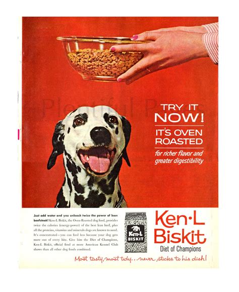 1961 Ken L Biskit Vintage Ad 1960s Dog Food Pet Food