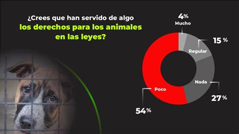 Maltrato Animal En México 2021 ¿qué Opinión Se Tiene Atlas Del