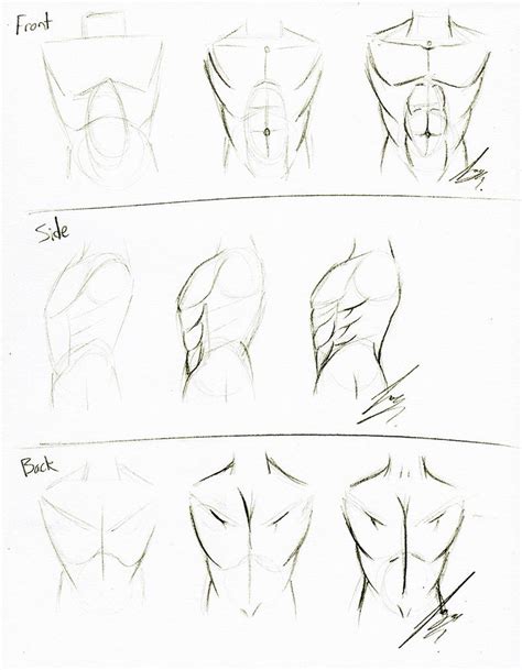 How To Draw The Torso Free Worksheet And Tutorial In 2020 Sketch Book