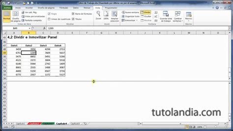 Excel 2010 Basico 42 Dividir E Inmovilizar Panel Youtube