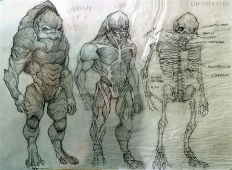 Anatomy Of A Krogan By Lupodirosso On Deviantart Mass Effect Art