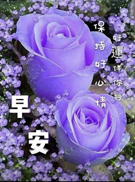 Good morning friends quotes morning greetings quotes good morning wishes good morning images chinese quotes shiva wallpaper food carving nursing students sayings. Pin by May on Good Morning Wishes (Chinese) | Beautiful ...