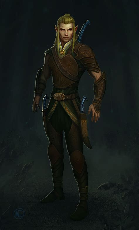 Pin By Derstorm On Fantasy Character Pictures Male Elf Art Male