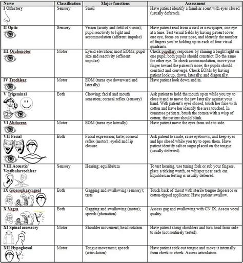 Cranial Nerve Assessment Cranial Nerve Assessment Neuro Assessment