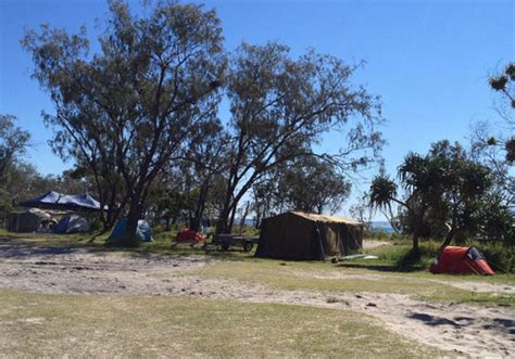 The beach is ideal for snorkelling and swimming with shallow crystal clear waters, rocks and old jetty to explore. Dog Friendly Camping On Stradbroke - Brisbane