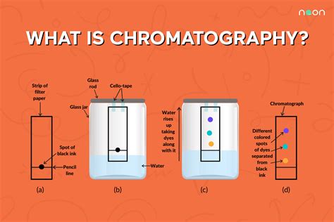 What Is Chromatography Noon Academy