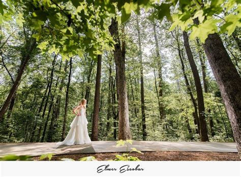 Garvan Woodland Gardens Bridal Photos Garvanwoodlandgardens Bride