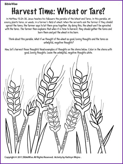 A Coloring Page For Harvest Time Wheat Or Tare