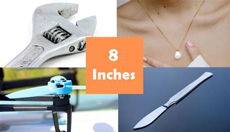 13 Things That Are 8 Inches In Long