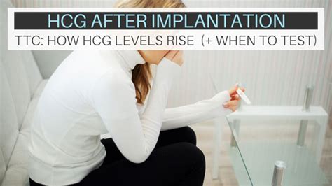 Hcg Levels After Implantation When To Test Wholesome Children