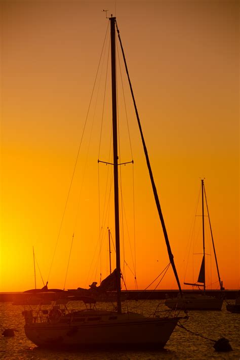 Sailboats At Sunrise Free Stock Photo Public Domain Pictures