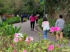 竹市十八尖山健行趣 3千人齊享森林浴 - 生活 - 自由時報電子報