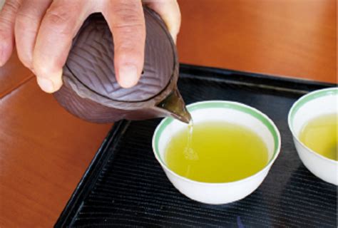 6 Great Shizuoka Green Tea Destinations Explore Shizuoka