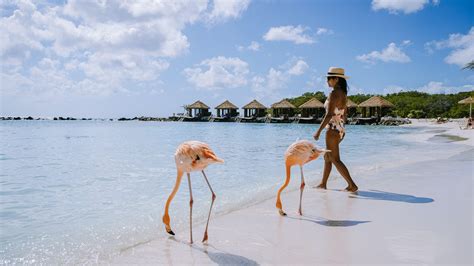 Best Time To Visit The Caribbean Lonely Planet