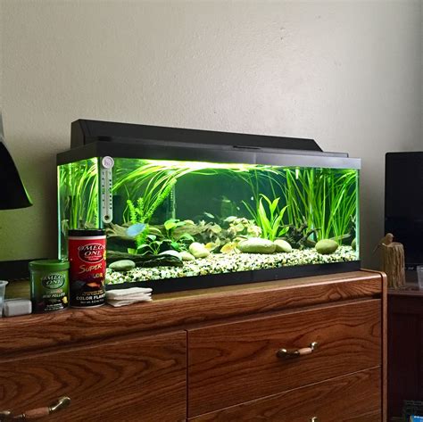 Cool 20 Gallon Fish Tank Weight With Water Ideas