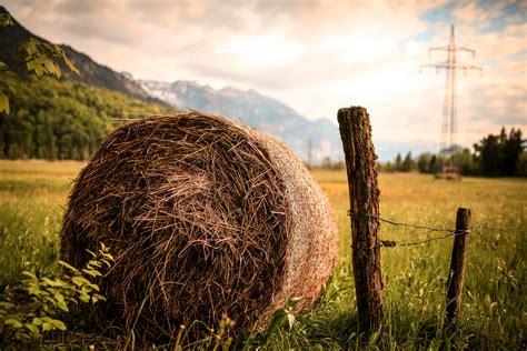 Free Stock Photo Of Agriculture Country Countryside