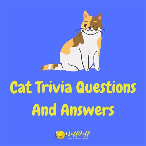 20 Fun Free Cat Trivia Questions And Answers Laffgaff