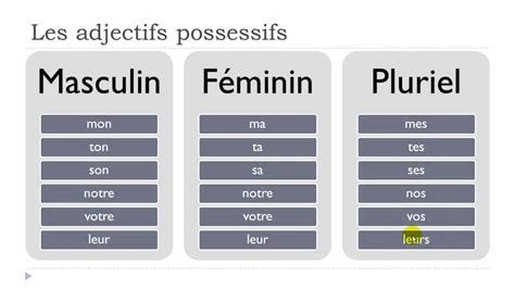 Possessive Adjectives In French Examples