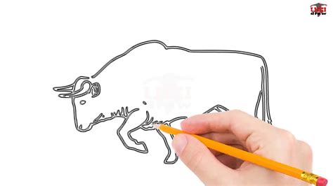 How To Draw A Bull Step By Step Easy For Beginnerskids Simple Bulls