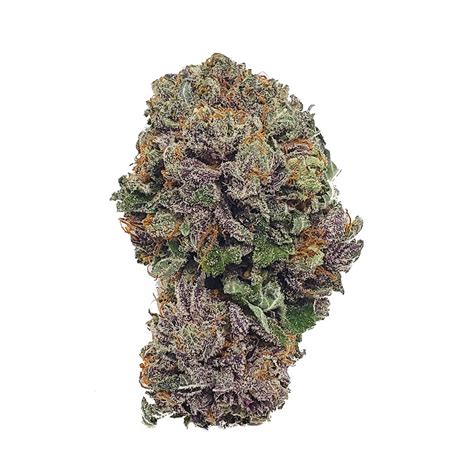 Purple Urkle Online Dispensary Canada Buy Weed