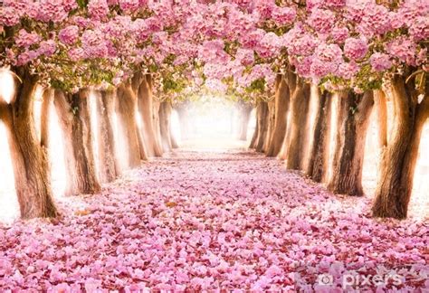 fotobehang vallende bloemblad over de romantische tunnel van roze