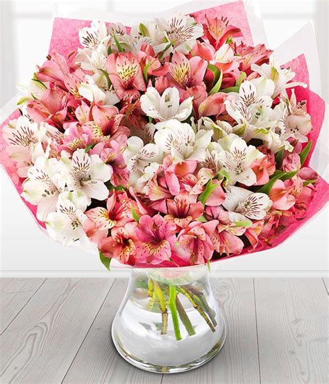 If you're looking for best flowers that she deserves, these six melbourne fresh flowers sell different flower arrangements featuring various flower types, but their exotic orchids stand out for the variety in color. Mother's Day flowers: 10 perfect bouquets to get for your ...