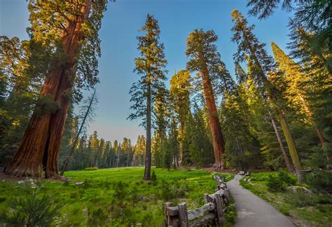 Heldagstur I Sequoia National Park Og Kings Canyon National Park
