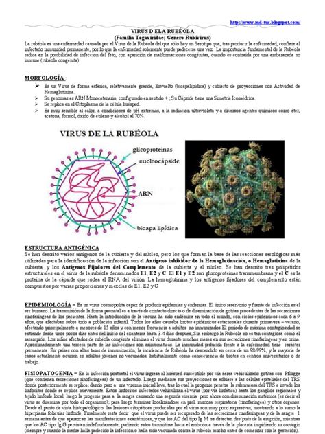 Virus De La RubÉola Sarampión Virus