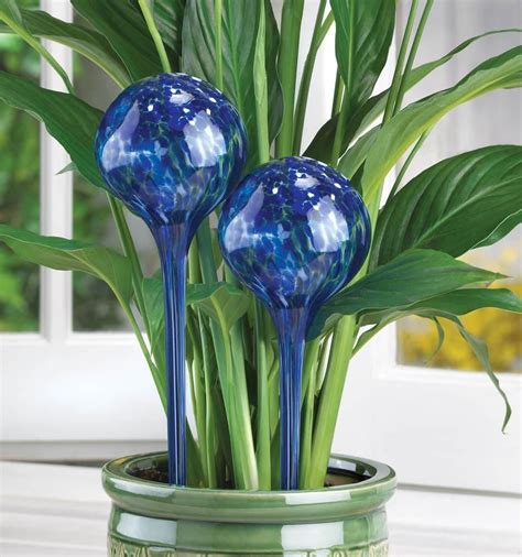 Plant Watering Globe Stakes Pr With Images Watering Globe