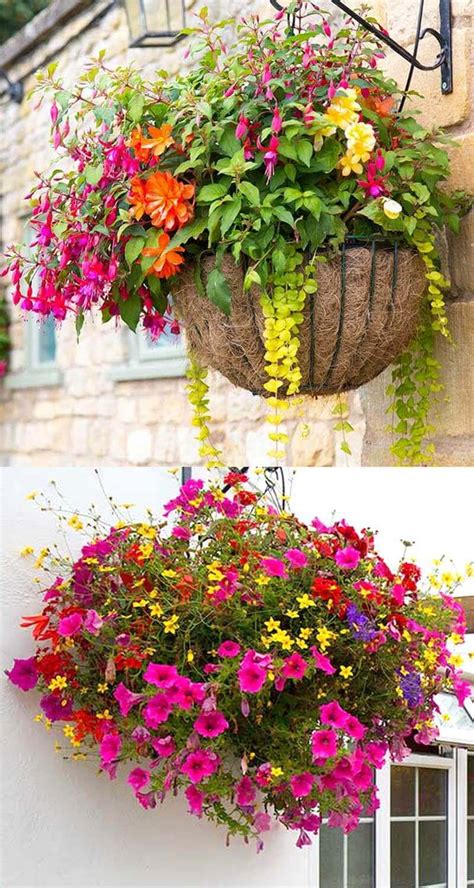 Hanging plants outdoor plants for hanging baskets hanging flowers hanging gardens hanging basket garden diy flowers flower plants outdoor flowers plants indoor. 25 Creative Hanging Basket Designs