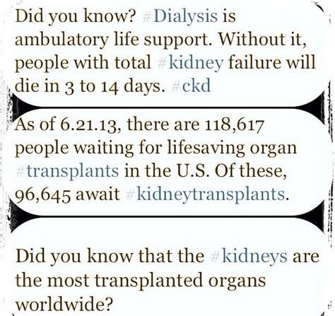I can't imagine that dialysis is going to improve anything about the way i live right now. Funny Dialysis Quotes. QuotesGram