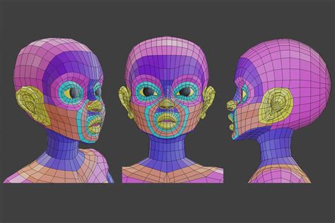 3d topology head