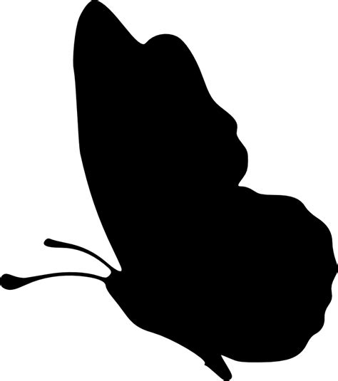 Free 121 Silhouette Transparent Butterfly Svg Free Svg Png Eps Dxf File