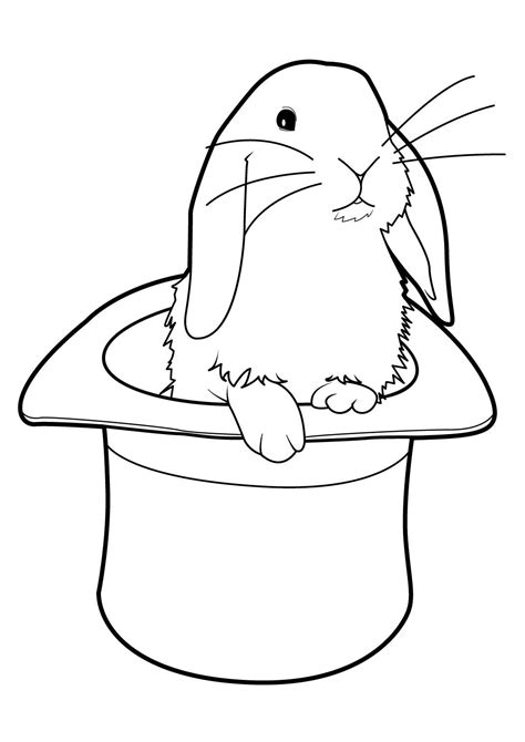 Comment dessiner un lapin de cartoon allodessin. Coloriage lapin belier - 1001 Animaux