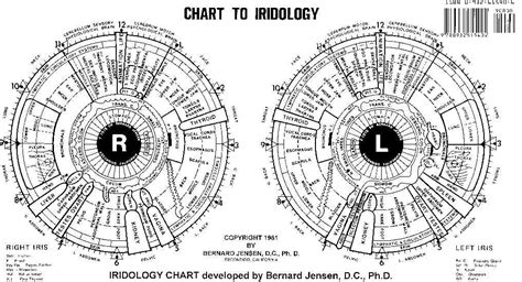 Sclerology Chart A Visual Reference Of Charts Chart Master