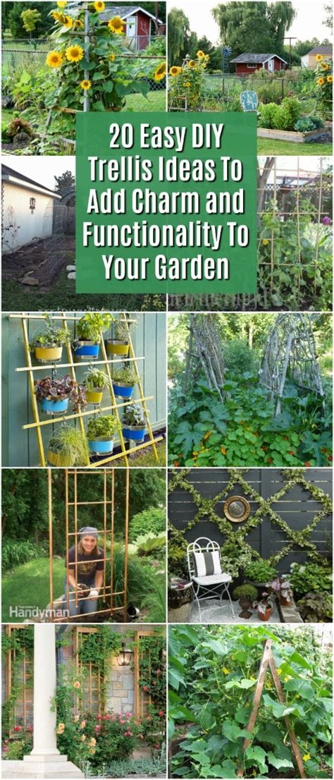 24 best diy garden trellis ideas & designs: 20 Easy DIY Trellis Ideas To Add Charm and Functionality ...