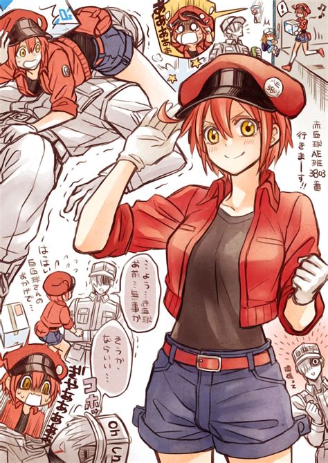 Platelet White Blood Cell Red Blood Cell Ae And U Hataraku Saibou Drawn By