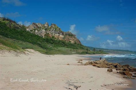 the rugged terrain of our east coast is absolutely beautiful most beautiful beaches beautiful