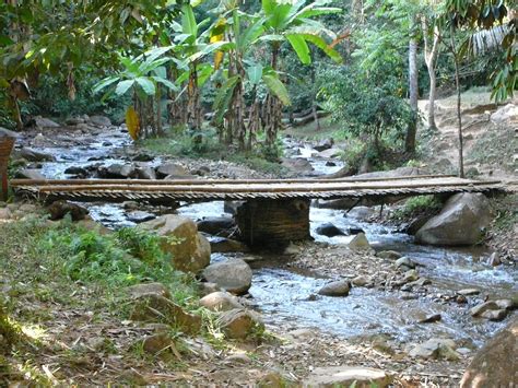Bamboo Bridge On Khonkon Waterfall Walk Amy Obrien Flickr