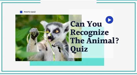 Can You Recognize These Animals Photo Quiz